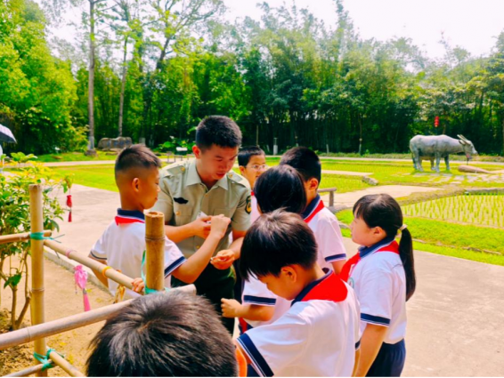 中山市退役軍人事務(wù)系統(tǒng)開展全民國家安全教育日系列主題活動